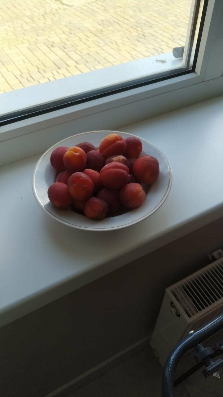 Гостиница Родительский Очаг Анапа-19