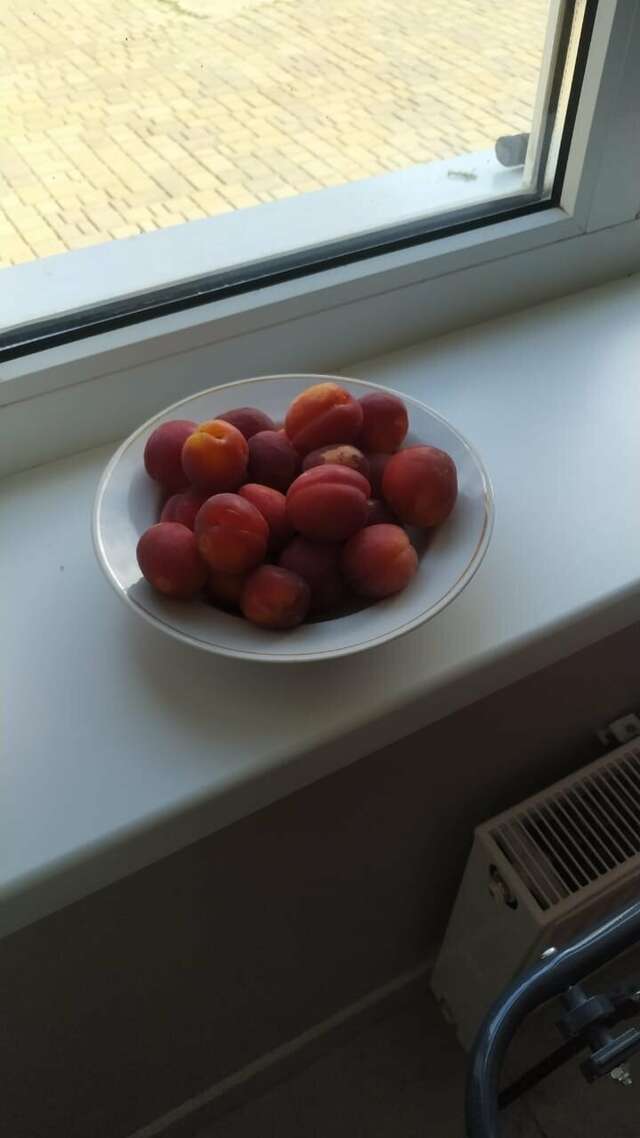 Гостиница Родительский Очаг Анапа-18